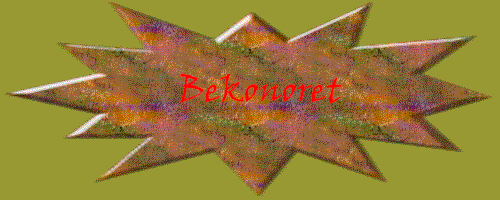 bt.gif (25061 bytes)