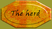 Visit the herd!