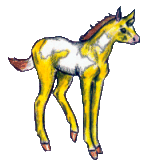 cunifoal51.gif (8954 bytes)