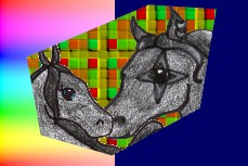 dolnsir.jpg (14044 bytes)