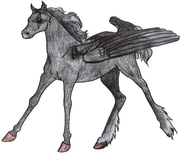 I don't know anything about the form!