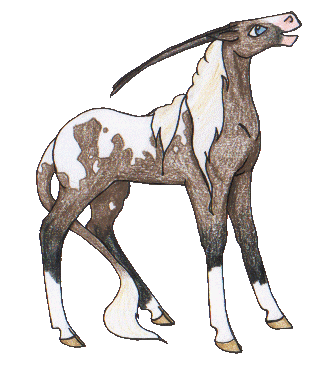 quibecadult.gif (40712 bytes)