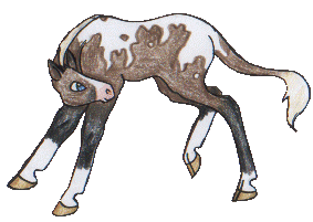 quibecfoal.gif (19780 bytes)