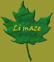 maze.gif (7856 bytes)