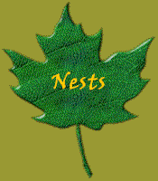  the nestNests