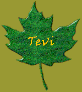 Tevi