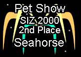 Jade Eye's Seahorse Places 2nd!